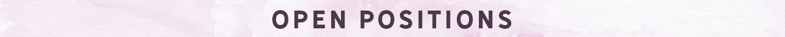 heading-title-open-positions Open Positions